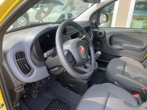 Fiat Panda  1.0 FireFly S&S Hybrid Pandina