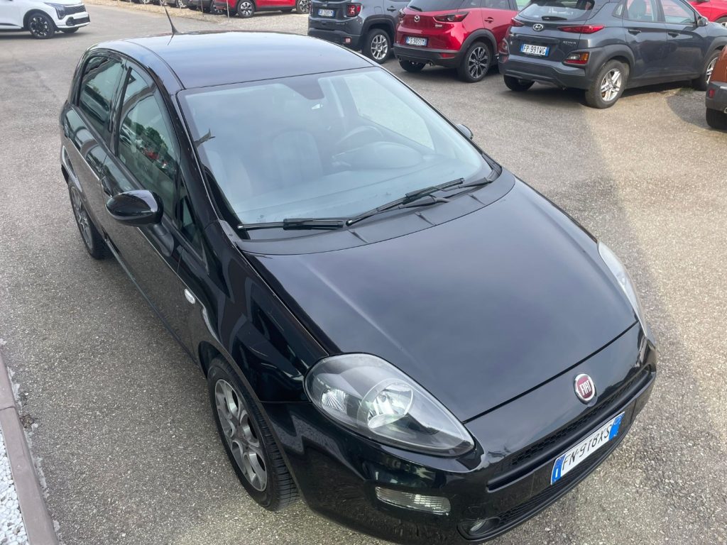 Fiat Punto  1.2 8V 5 porte Street
