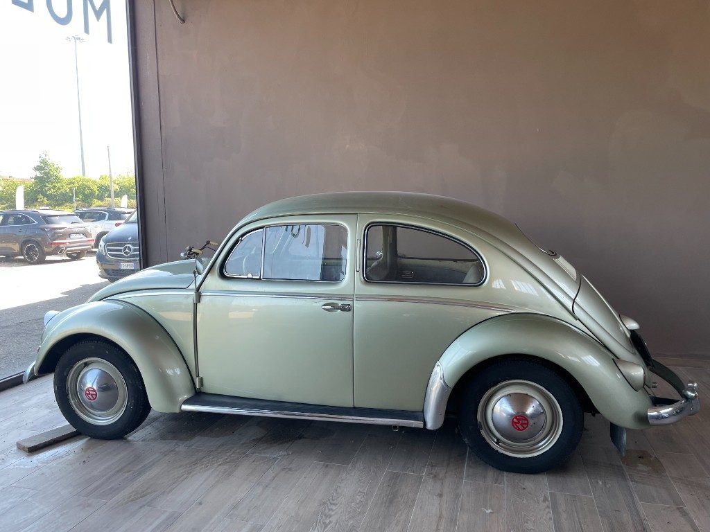 Volkswagen Maggiolino  Ovalino 6V