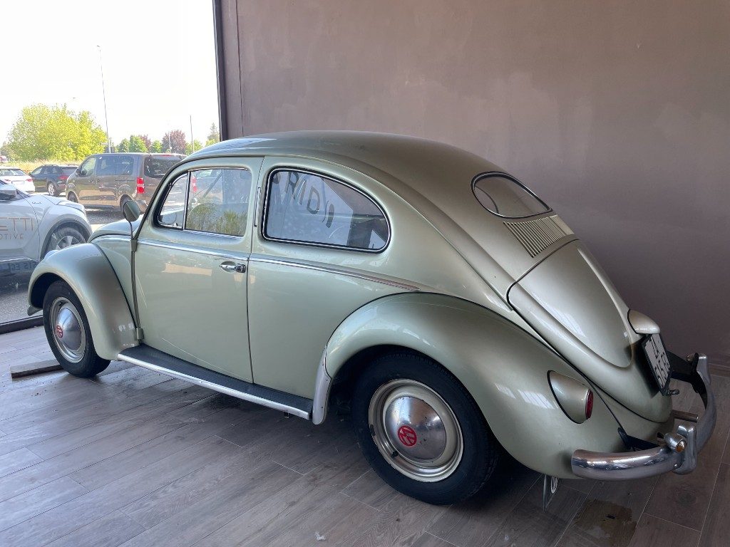Volkswagen Maggiolino  Ovalino 6V