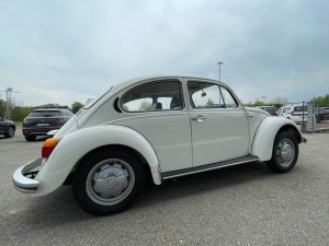 Volkswagen Maggiolino  11 D 11