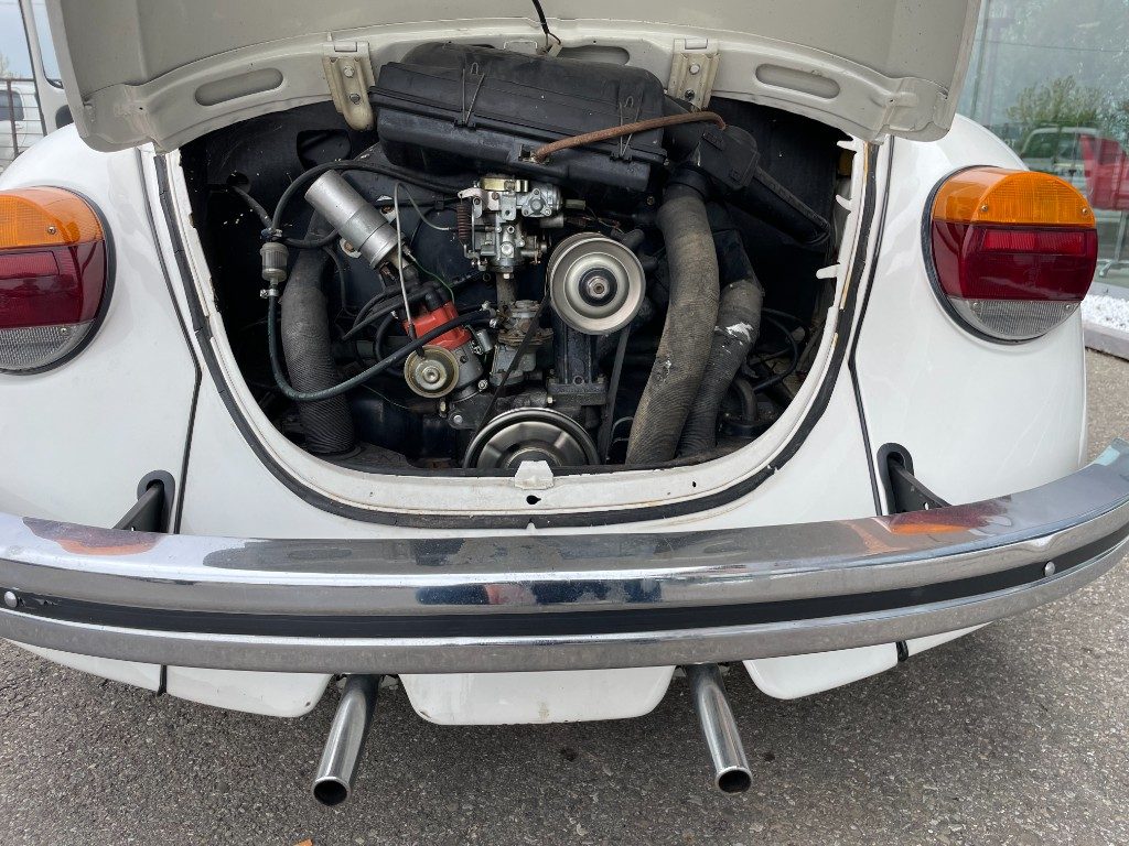 Volkswagen Maggiolino  11 D 11