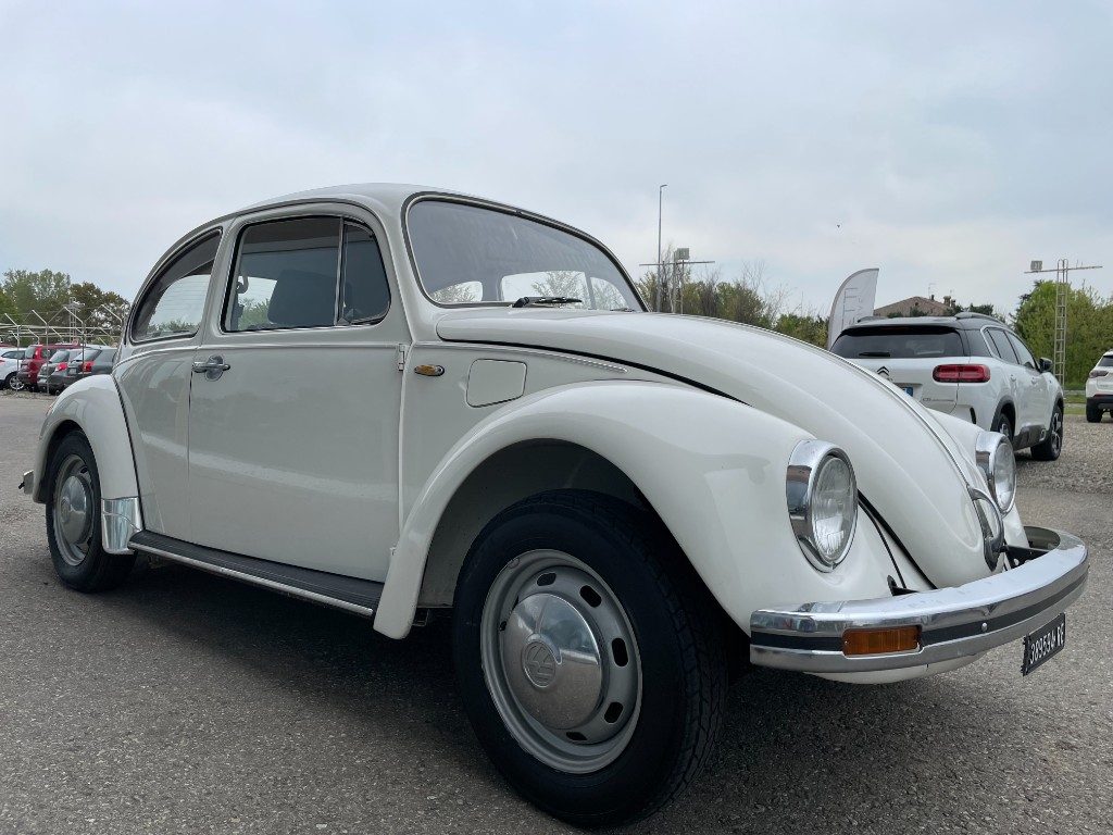Volkswagen Maggiolino  11 D 11