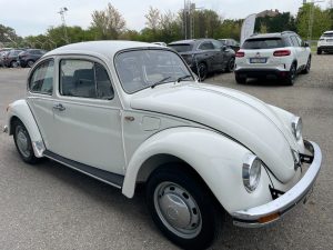 Volkswagen Maggiolino  11 D 11
