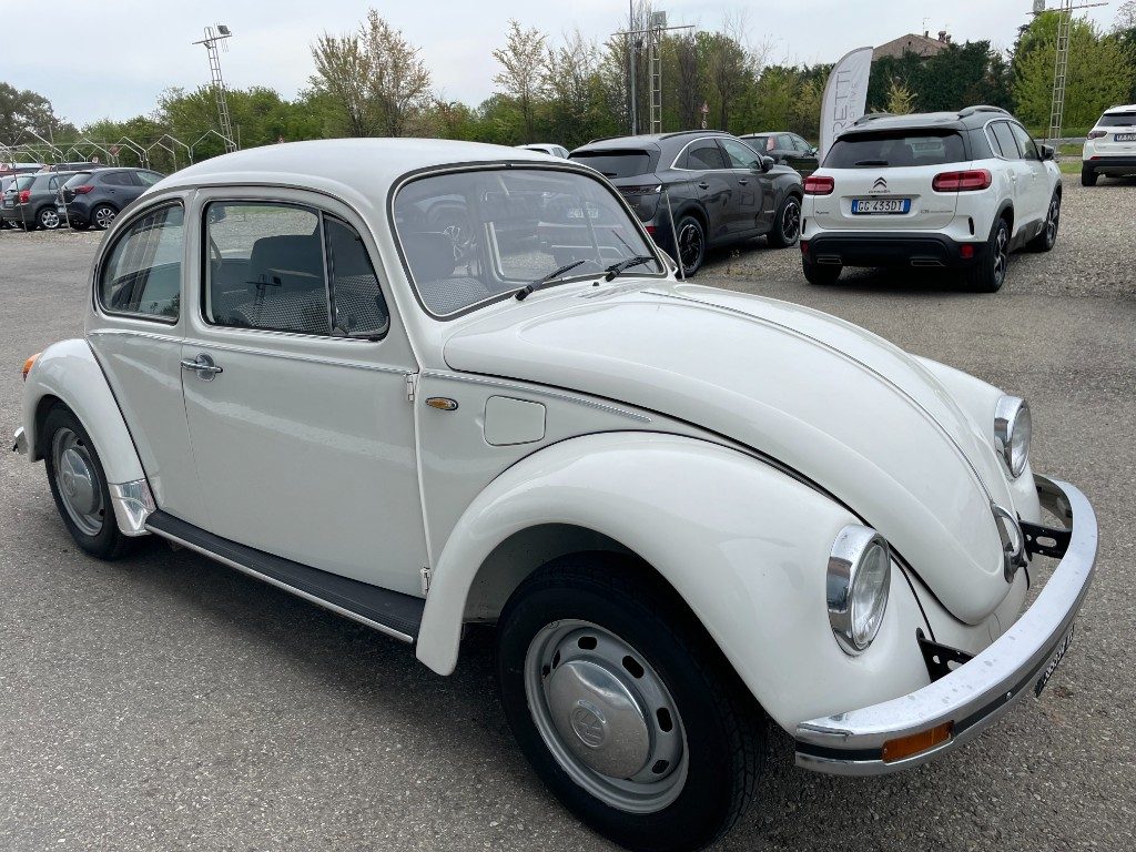 Volkswagen Maggiolino  11 D 11