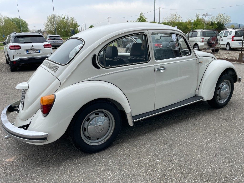 Volkswagen Maggiolino  11 D 11