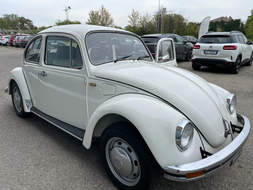 Volkswagen Maggiolino  11 D 11